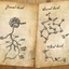 Channelwood map